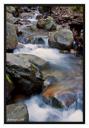 Uvas Canyon Uvas Canyon